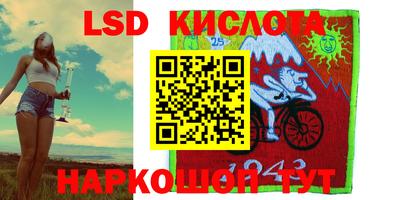 гашик Малгобек