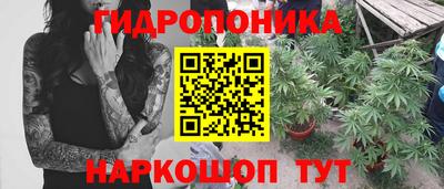 ECSTASY Кунгур