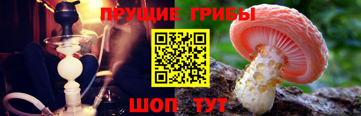 Псилоцибиновые грибы ЛСД Чита